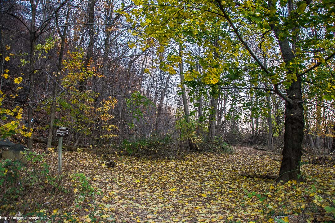 Shore Trail Intersection